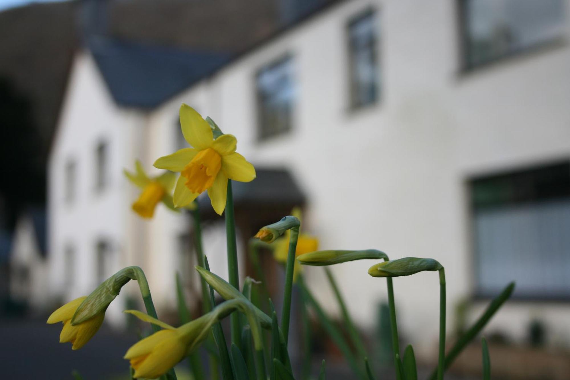 Padarn Apartment At Glanybala Holidays ランベリス エクステリア 写真