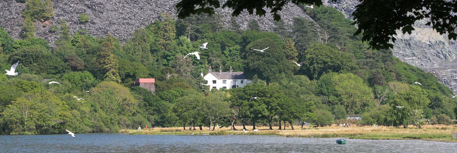 Padarn Apartment At Glanybala Holidays ランベリス エクステリア 写真